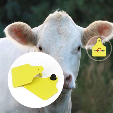 animal rfid tags|rfid based animal identification system.